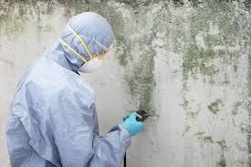 Best Emergency Mold Remediation  in Fort Worth, TX